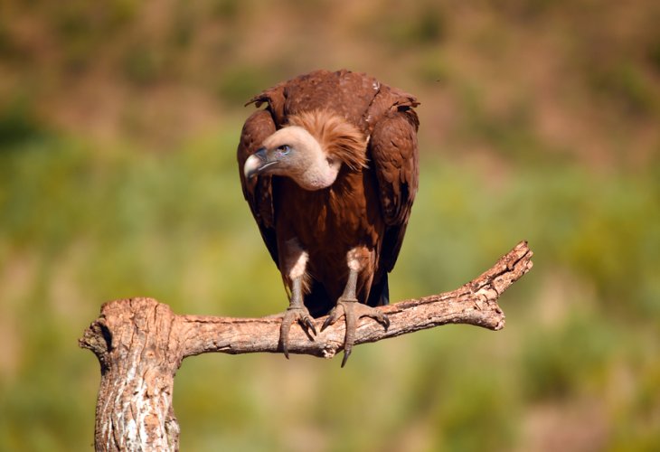 (Photo: Shutterstock)