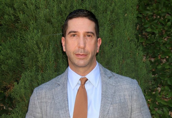 David Schwimmer (Photo: Shutterstock) David Schwimmer (Photo: Shutterstock)