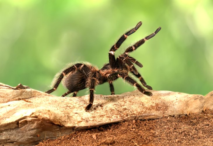 (Photo: Shutterstock) (Photo: Shutterstock)