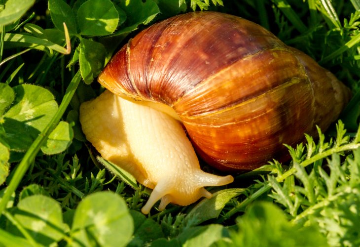 (Photo: shutterstock)