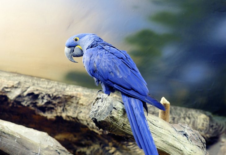 (Photo: shutterstock) (Photo: shutterstock)