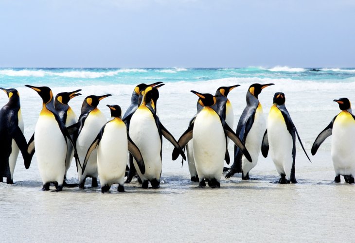 (Photo: Shutterstock) (Photo: Shutterstock)
