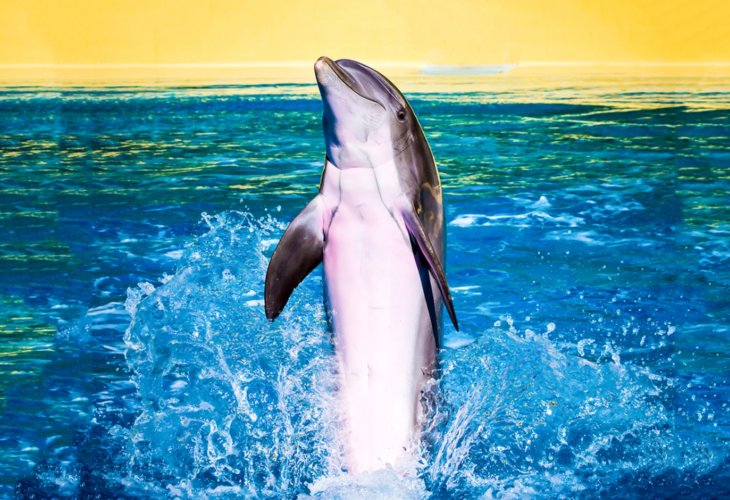 (Photo: Shutterstock) (Photo: Shutterstock)