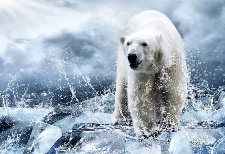 (Photo: Shutterstock) (Photo: Shutterstock)