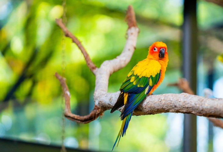 (Photo: shutterstock) (Photo: shutterstock)