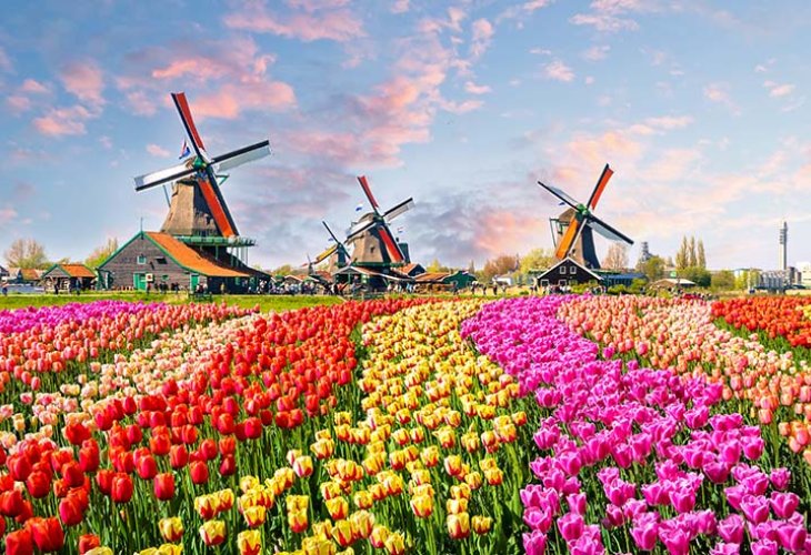 (Photo: shutterstock) (Photo: shutterstock)