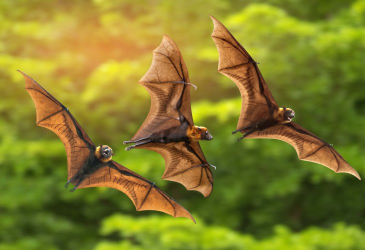 (Photo: shutterstock) (Photo: shutterstock)