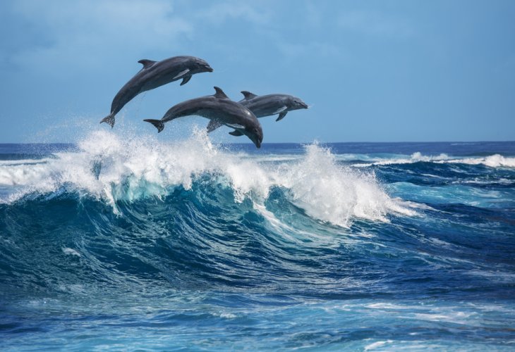 (Photo: shutterstock) (Photo: shutterstock)