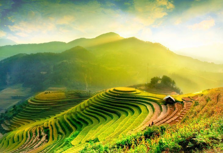 (Photo: shutterstock) (Photo: shutterstock)