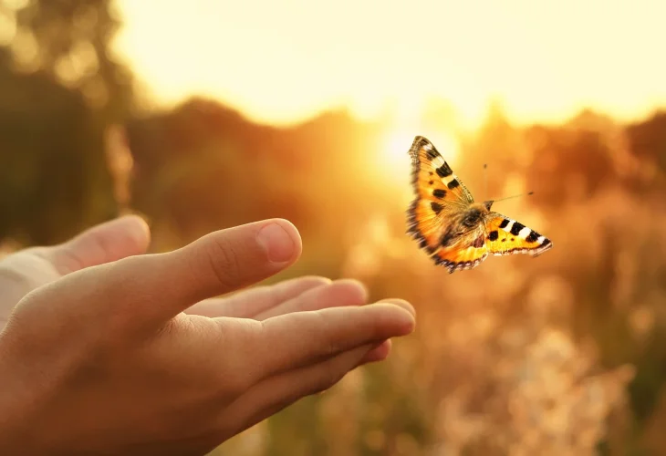 (Photo: Shutterstock) (Photo: Shutterstock)