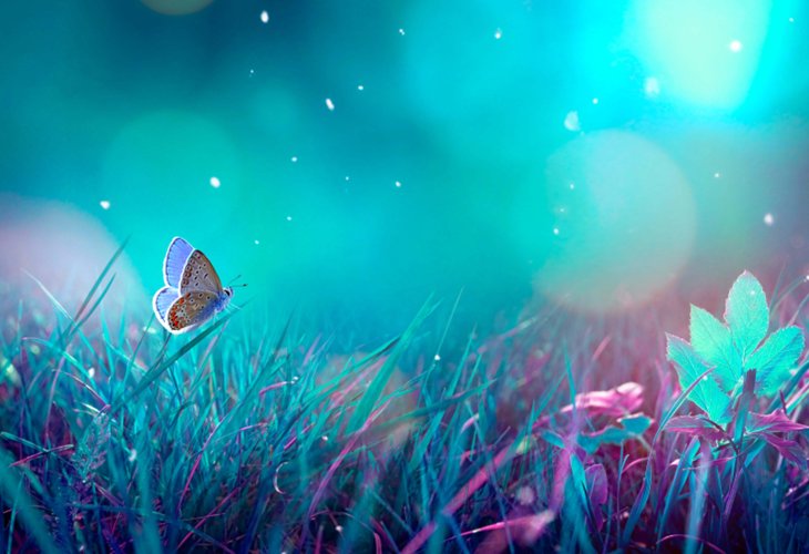 (Photo: shutterstock9)