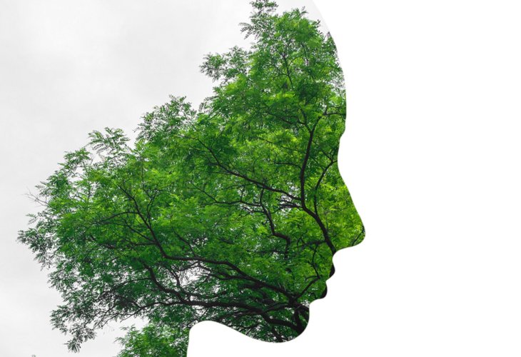 (Photo: Shutterstock) (Photo: Shutterstock)