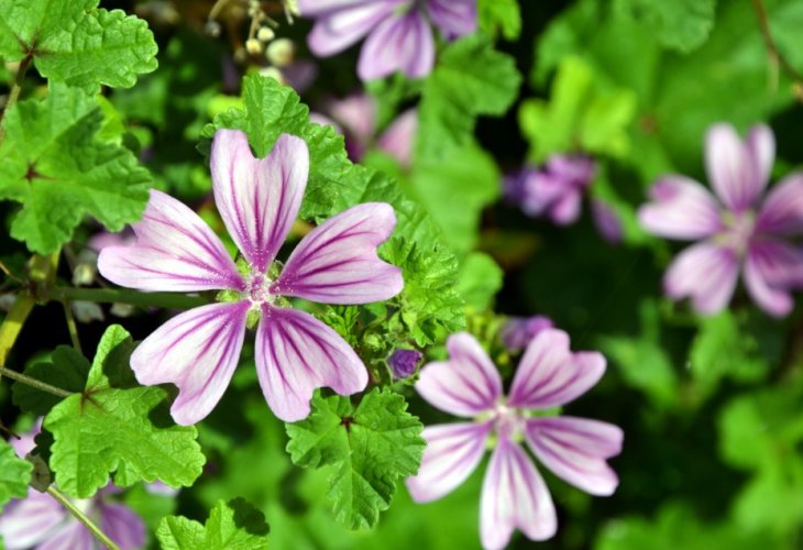 (Photo: Shutterstock)
