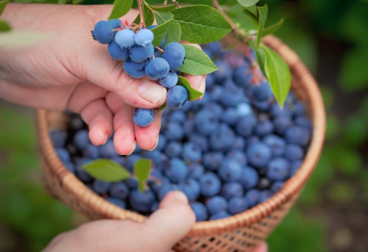 (Photo: shutterstock)