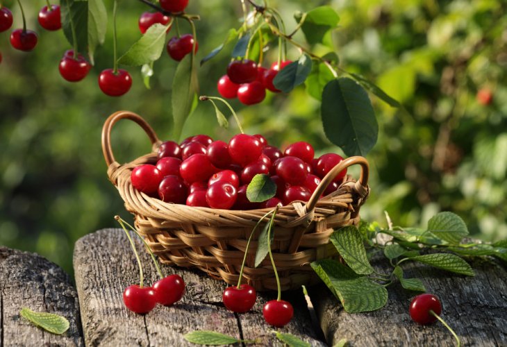 (Photo: shutterstock) (Photo: shutterstock)