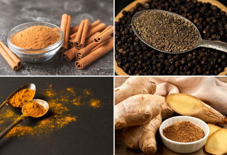 (Photos: shutterstock) (Photos: shutterstock)