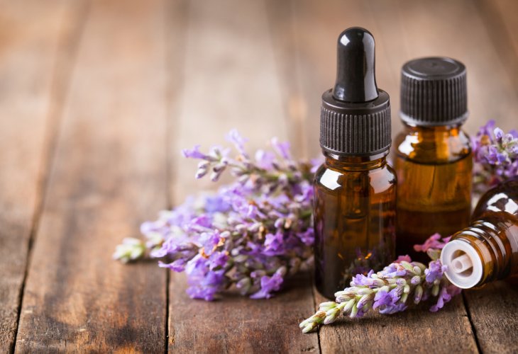 Lavender (Photo: shutterstock) Lavender (Photo: shutterstock)