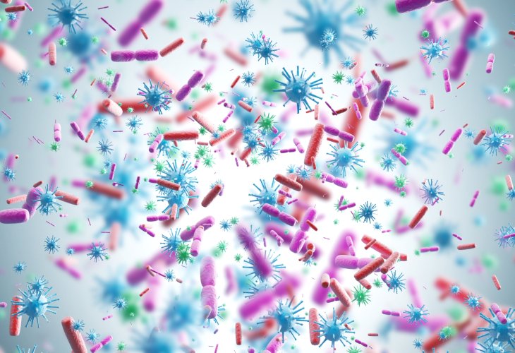 (Photo: Shutterstock) (Photo: Shutterstock)