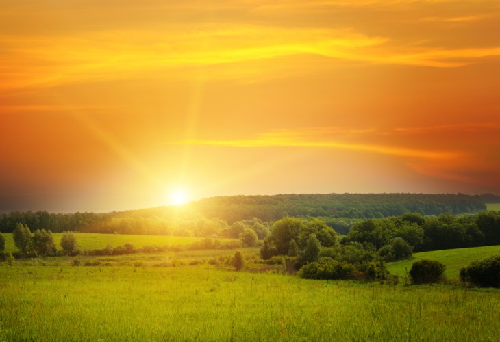 (Photo: shutterstock)