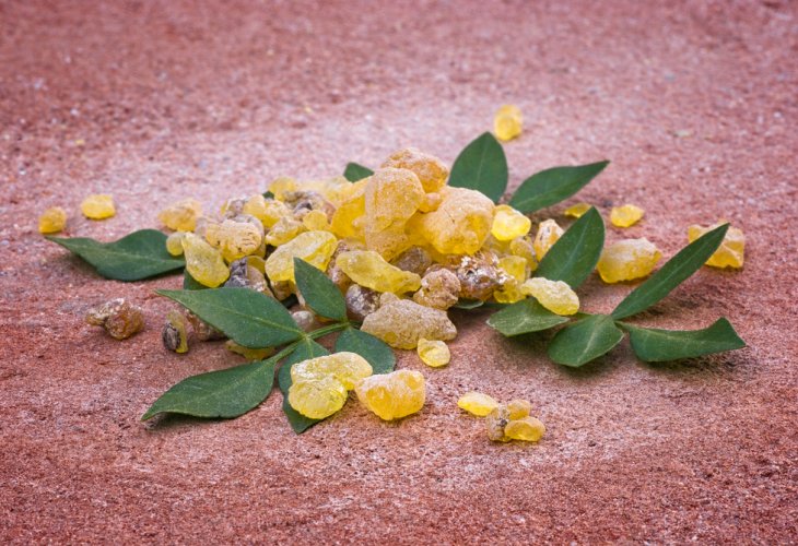 Frankincense, Boswellia (Photo: shutterstock)