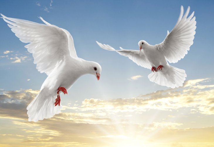 (Photo: Shutterstock)
