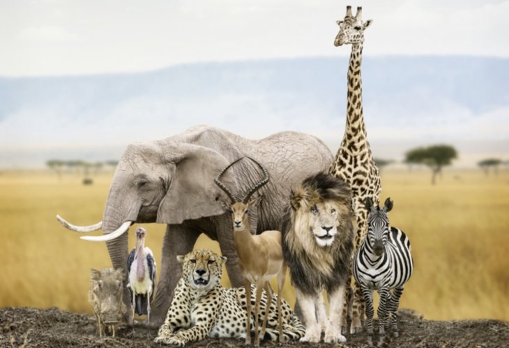 (Photo: shutterstock) (Photo: shutterstock)
