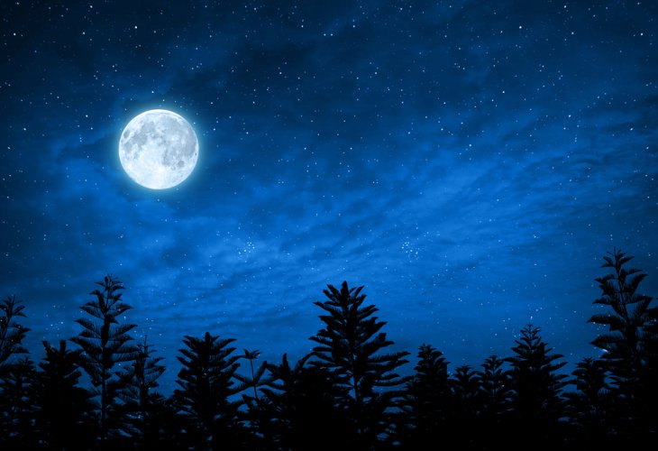 (Photo: shutterstock) (Photo: shutterstock)