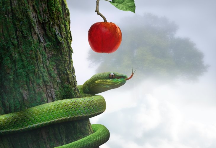 (Image: shutterstock)