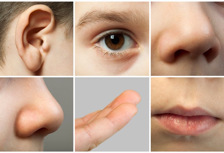 (Photo: shutterstock) (Photo: shutterstock)