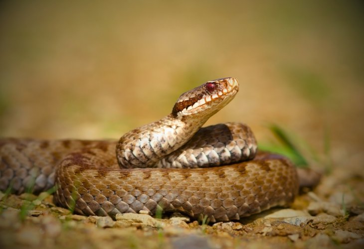 (Photo: shutterstock) (Photo: shutterstock)