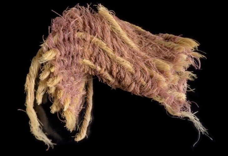 A piece of rare fabric dyed purple (Photo: Dafna Gazit, Israel Antiquities Authority)
