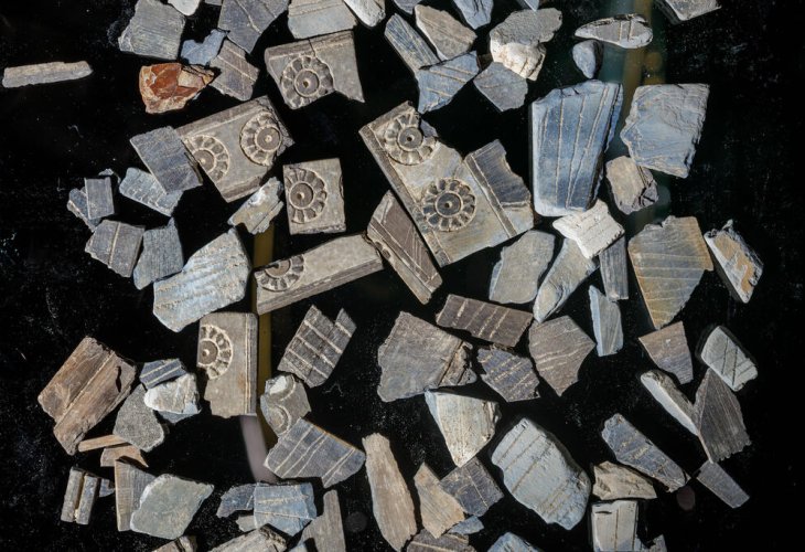 (Photo: Eliyahu Yanai, City of David)