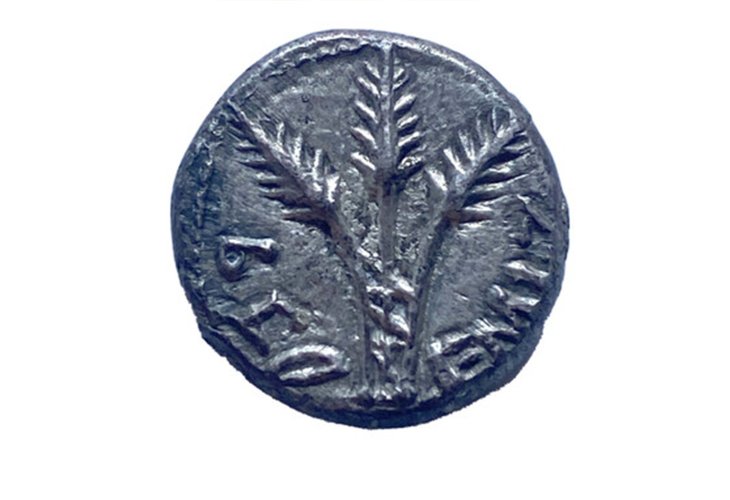 (Photo: Israel Antiquities Authority) (Photo: Israel Antiquities Authority)