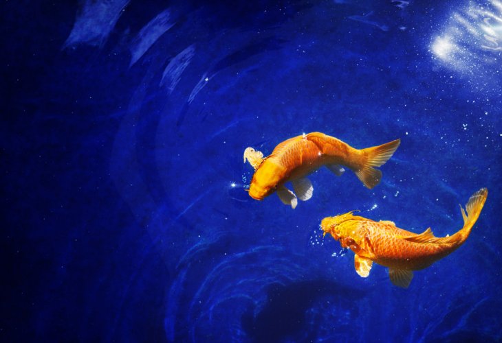 (Photo: shutterstock) (Photo: shutterstock)