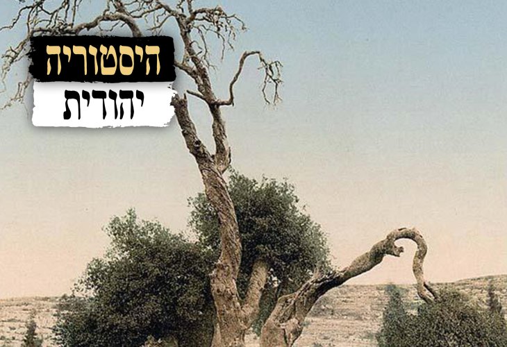 Abraham's Tree, around 1890-1900