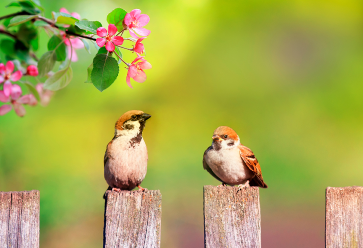 (Photo: Shutterstock) (Photo: Shutterstock)