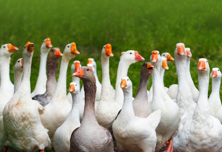 (Photo: Shutterstock) (Photo: Shutterstock)