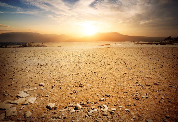 (Photo: shutterstock) (Photo: shutterstock)