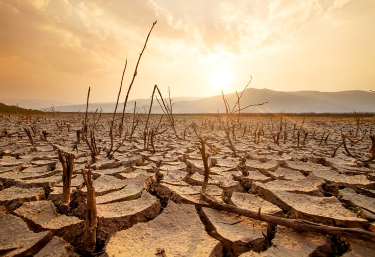 (Photo: shutterstock) (Photo: shutterstock)