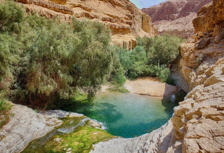 Ein Gedi (Photo: shutterstock) Ein Gedi (Photo: shutterstock)