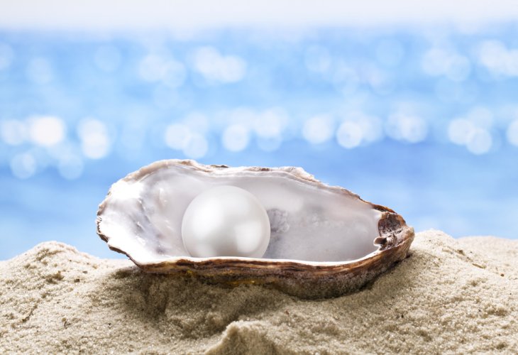 (Photo: shutterstock) (Photo: shutterstock)