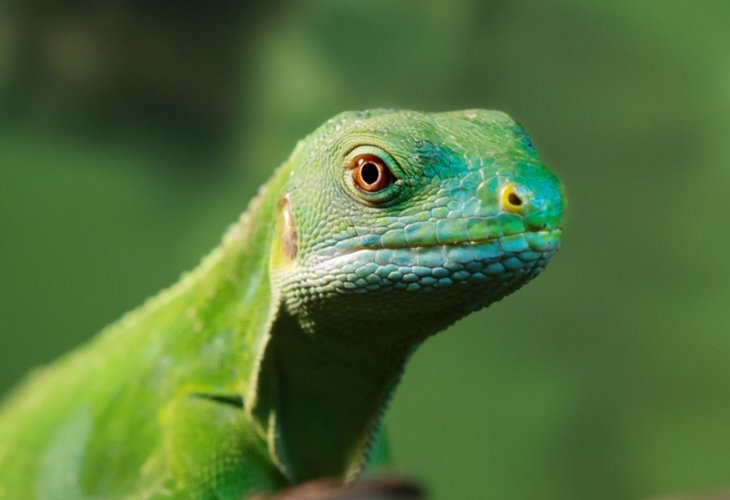 (Photo: shutterstock)