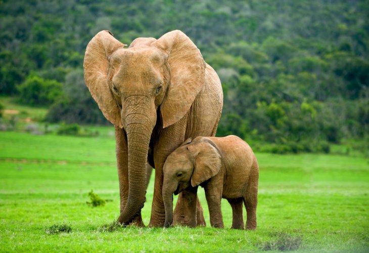 (Photo: Shutterstock) (Photo: Shutterstock)