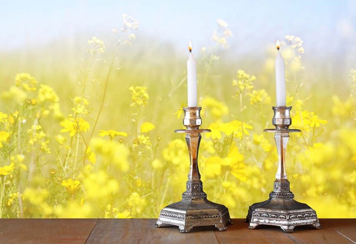 (Photo: shutterstock)