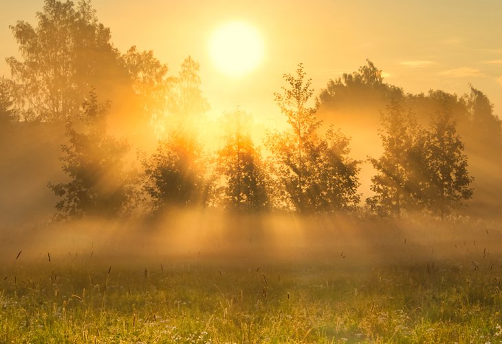 (Photo: shutterstock) (Photo: shutterstock)