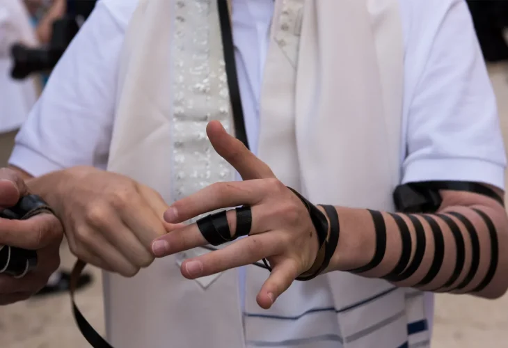 (צילום: שאטרסטוק)