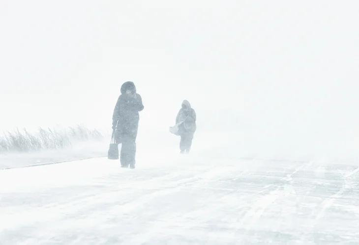 (קרדיט: shutterstock)