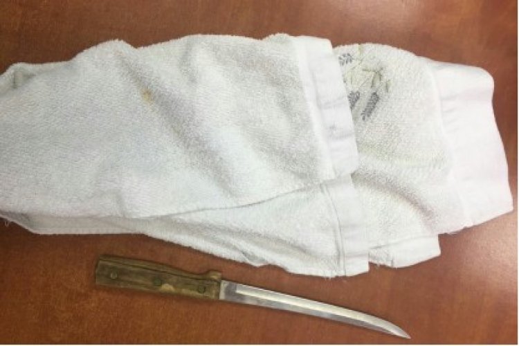 הסכין שהייתה בידי החשוד (צילום: דוברות המשטרה)