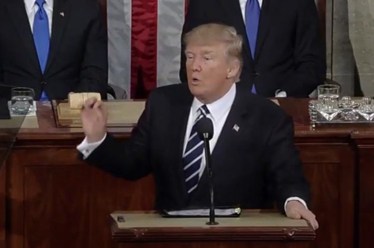 הנשיא דונלד טראמפ (צילומסך: יוטיוב - Joint Session of Congress)