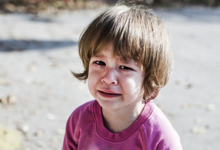 (צילום אילוסטרציה: shutterstock)